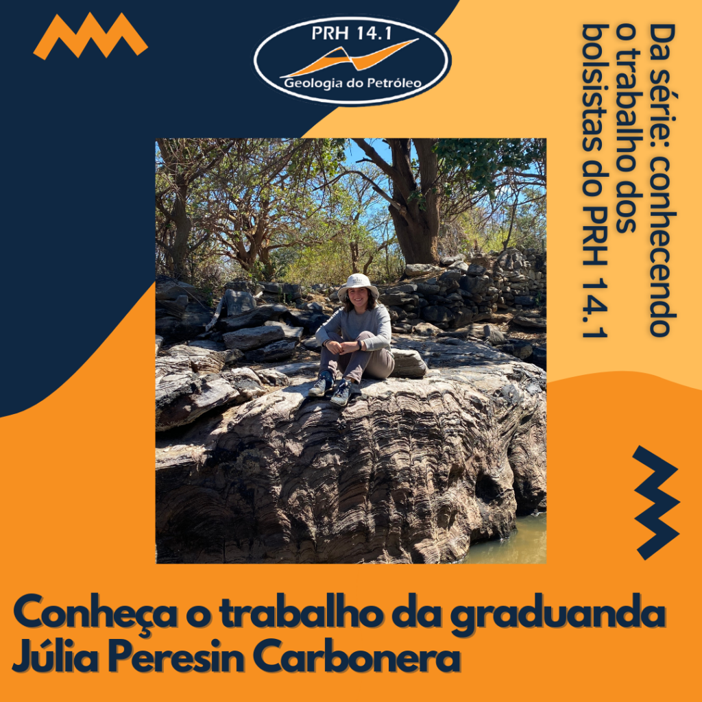 Conheça o trabalho da graduanda Júlia Peresin Carbonera