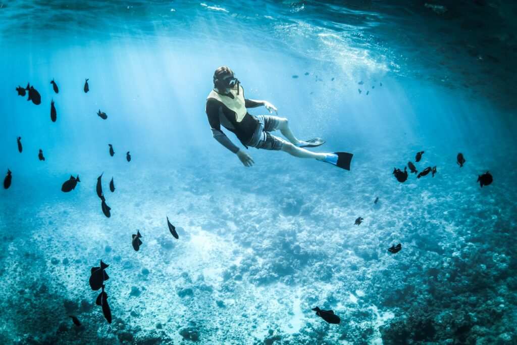 Person snorkeling among vibrant marine life in a tropical, turquoise sea.