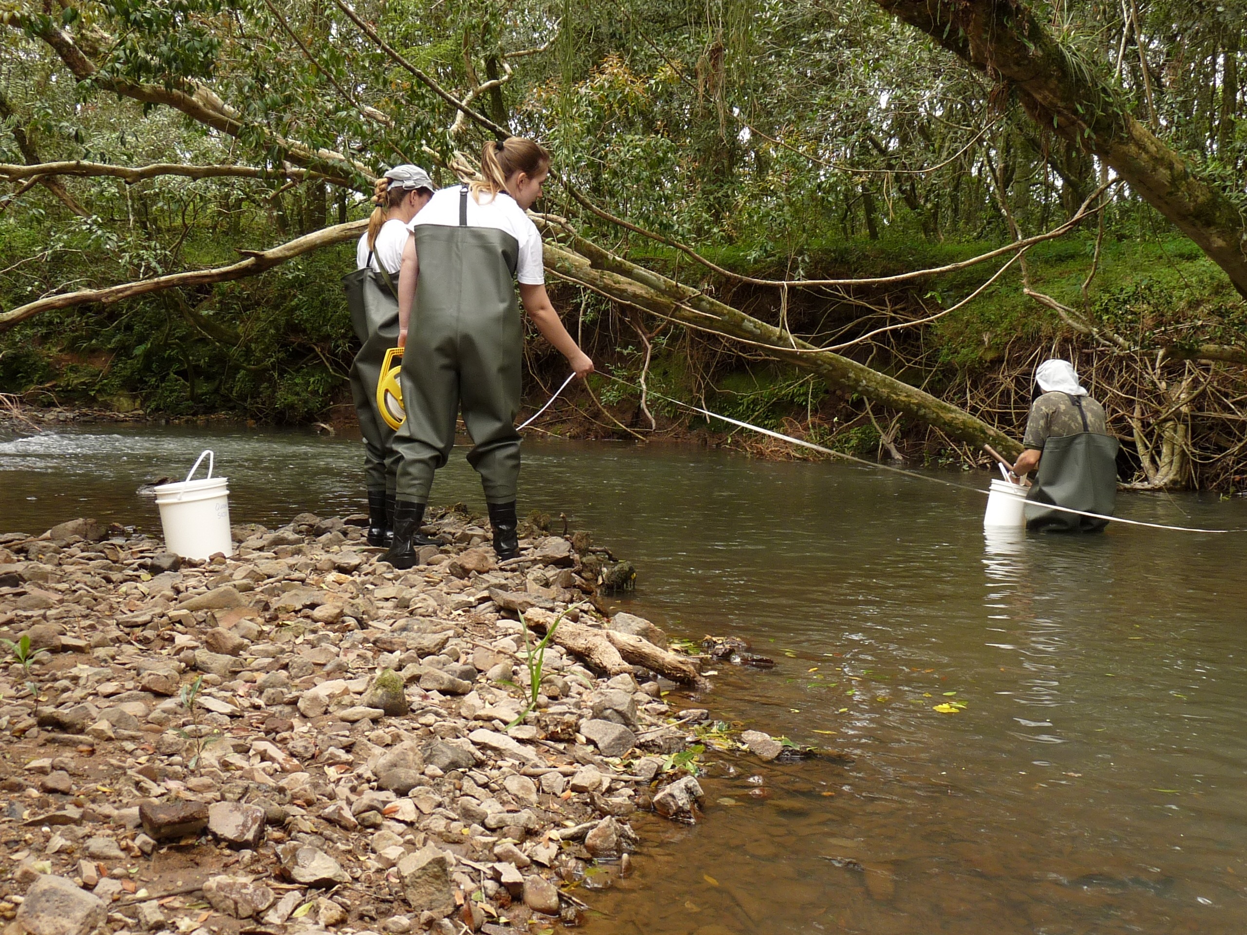 Climate change and the distribution of neotropical red-bellied toads (Melanophryniscus, Anura, Amphibia): How to prioritize species and populations?