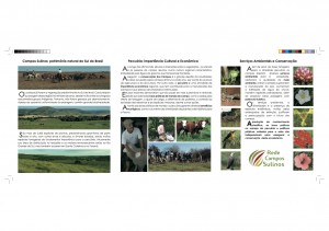 folheto_rede_campos_sulinos_pagina1