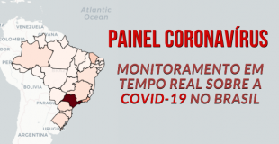 Painel - Rede Covida