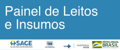 Painel de Leitos e Insumos