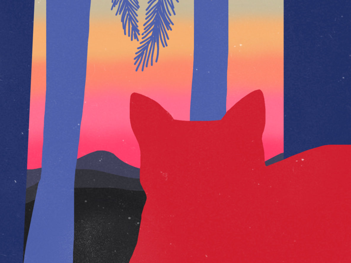 Pauta adoção e abandono de animais. Artista Sabrina Azeredo