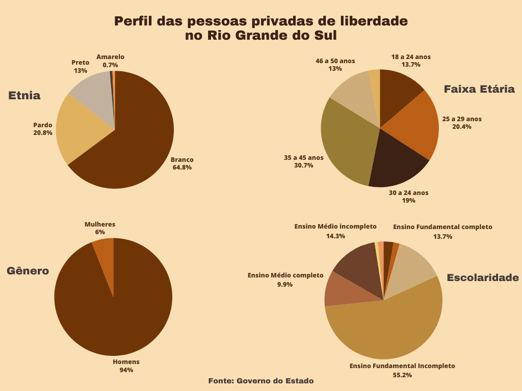 Quatro gráficos informativos sobre o perfil das pessoas privadas de liberdade no Rio Grande do Sul. O primeiro, trata-se de um mapeamento da etnia dos aprisionados. 64.% são brancos, 20.8% são pardos, 13% são pretos e 0,7% são amarelos.
O segundo gráfico diz respeito da faixa etária. 30.7% dos aprisionados tem entre 30 a 45 anos. 20.4% tem entre 25 a 29 anos. 19% tem 30 a 24 anos. 13.7% tem 18 a 24 anos.. Por fim, 13% tem 46 a 50 anos.
No terceiro gráfico, há dados a respeito do gênero dos aprisionados. 94% são homens e 6% são mulheres.
No último gráfico, há um mapeamento da escolaridade. 55.2% dos aprisionados tem ensino fundamental incompleto. 14.9% tem ensino médio incompleto. 13.7% tem ensino fundamental completo. 9.9% tem ensino médio completo. Por fim, as porcentagens de ensino superior completo e incompleto são pequenas demais e não aparecem no cálculo do gráfico. Fim da descrição.