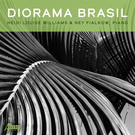 capa Diorama Brasil - André Grassi