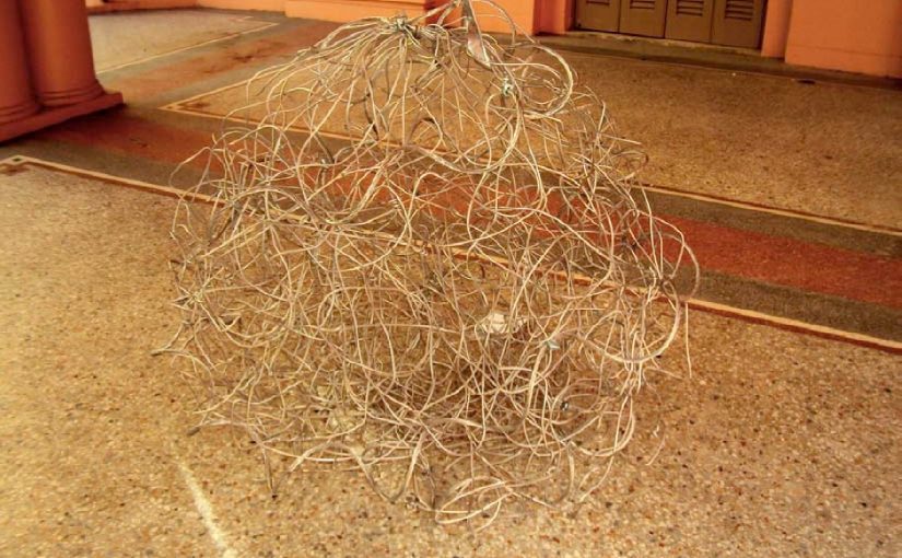 Emaranhados – Zetti Neuhaus