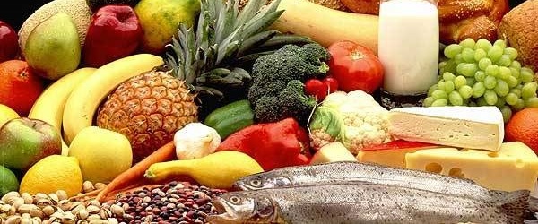 Estudos sobre alimentação