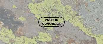 Revestimentos anti-incrustantes