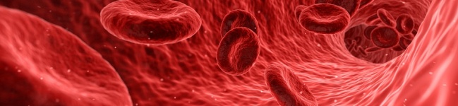 Meias medicinais com fármaco nanoencapsulado para melhorar circulação sanguínea