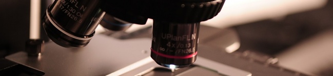Processo de obtenção de nanocompósitos de resina epoxídica utilizando nanotubos de dióxido de titânio