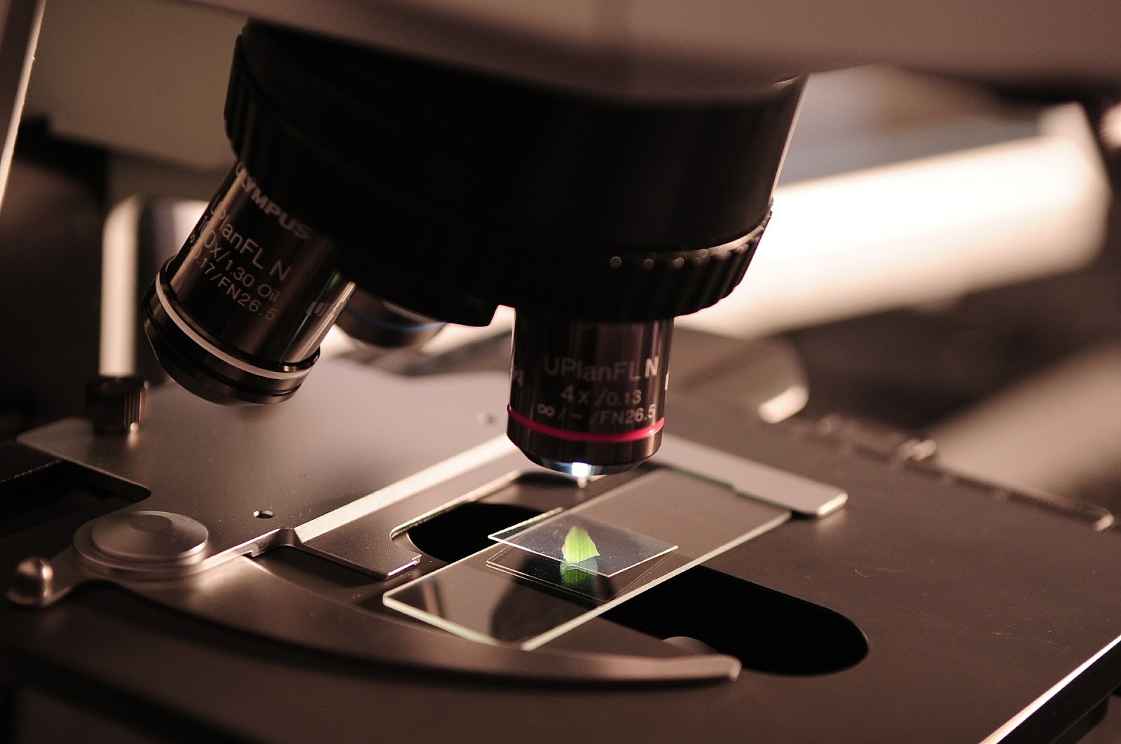 Process for obtaining epoxy resin nanocomposites using titanium dioxide nanotubes