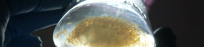 Composição adesiva de poliuretano