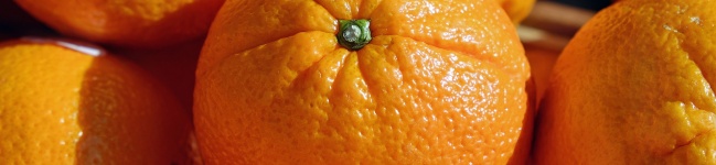 Biofilme de amido hidrofóbico para conservação de frutas