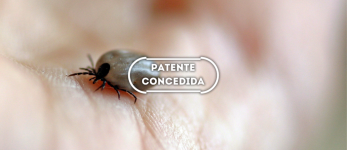 Composição de antígenos de protease aspártica Boophilus microplus e processo para a obtenção dos antígenos de protease aspártica a partir de ovos de Boophilus microplus