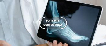 Processo de criopolimerização de comonômeros anfolíticos para obtenção de arcabouços