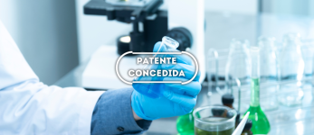Processo de preparação de zeólitas utilizando líquidos iônicos como agentes direcionadores de estrutura