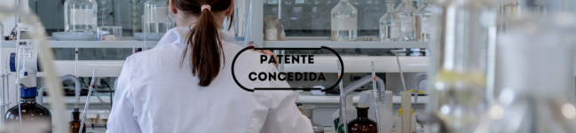 Processo de armazenamento reversível de hidrogênio em reservatórios moleculares baseados em líquidos iônicos