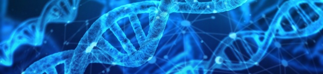 Produção de nanoestruturas melhoradas para terapia genética