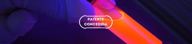 Processo de produção de polímeros luminescentes e composição de polímeros obtidos por esse processo
