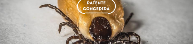 Processo de inibição e/ou controle de biofilme