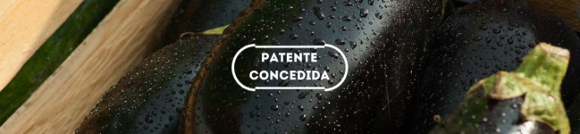 Sistemas poliméricos biodegradáveis com liberação controlada
