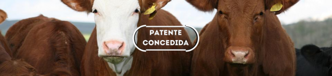 Mutante de herpesvírus bovino tipo 5, vacina contra a encefalite viral bovina (BHV-5) e o vírus rábico