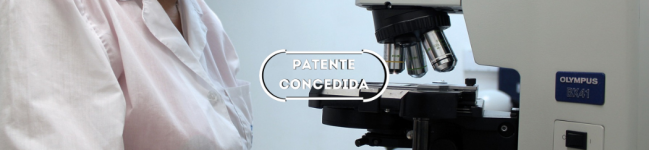 Preparação de catalisador suportado ativo para decomposição de “NO” utilizando nanopartículas de metais de transição e catalisador assim obtido