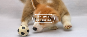 Dispensador automático programável de objetos para cães