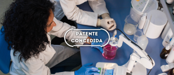 Processo de obtenção de verbenona a partir de alfa-pineno por biotransformação por rubiáceas