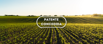 Nanocarreadores lipídicos com fração enriquecida de isoflavonas agliconas de soja: processo de produção e formulações