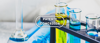 Preparação de catalisador suportado ativo para decomposição de “NO” utilizando nanopartículas de metais de transição e catalisador assim obtido